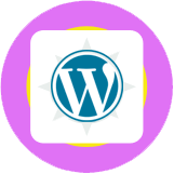 create wordpress website design